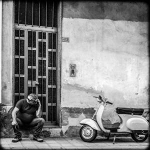 A la croisée des regards - the timid